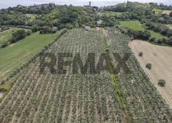 Posizione della mappa - Terreno agricolo Contrada Castelnuovo
1, Recanati - foto 8