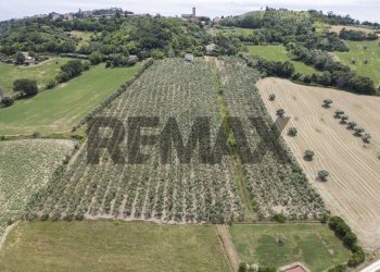 Posizione della mappa - Terreno agricolo Contrada Castelnuovo
1, Recanati - foto 9