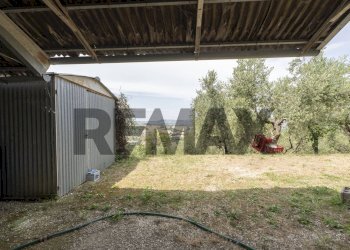 Giardino - Terreno agricolo Contrada Castelnuovo
1, Recanati - foto 17
