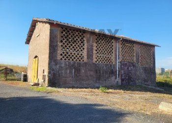 Casa all\'aperto - Rustico Via di Vallerano
 
20, Roma - foto 14