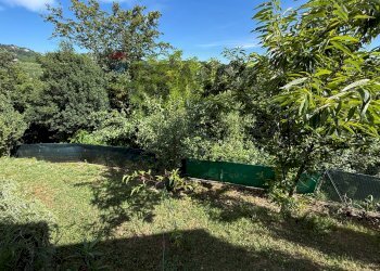 Giardino - Villa Via della Canonica
 
37, Pavarolo - photo 22