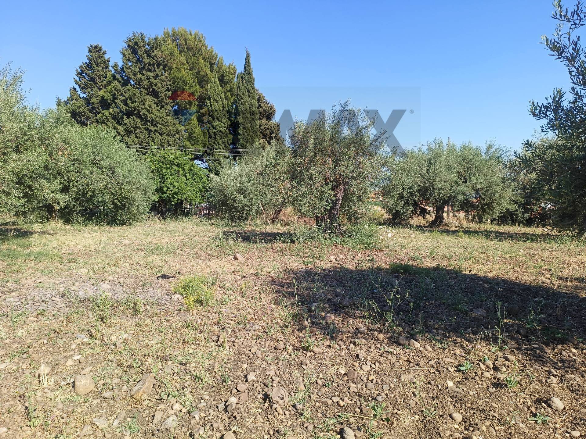 Giardino - Building land Via Siracusa
s.n.c., Motta Sant'Anastasia - photo 2