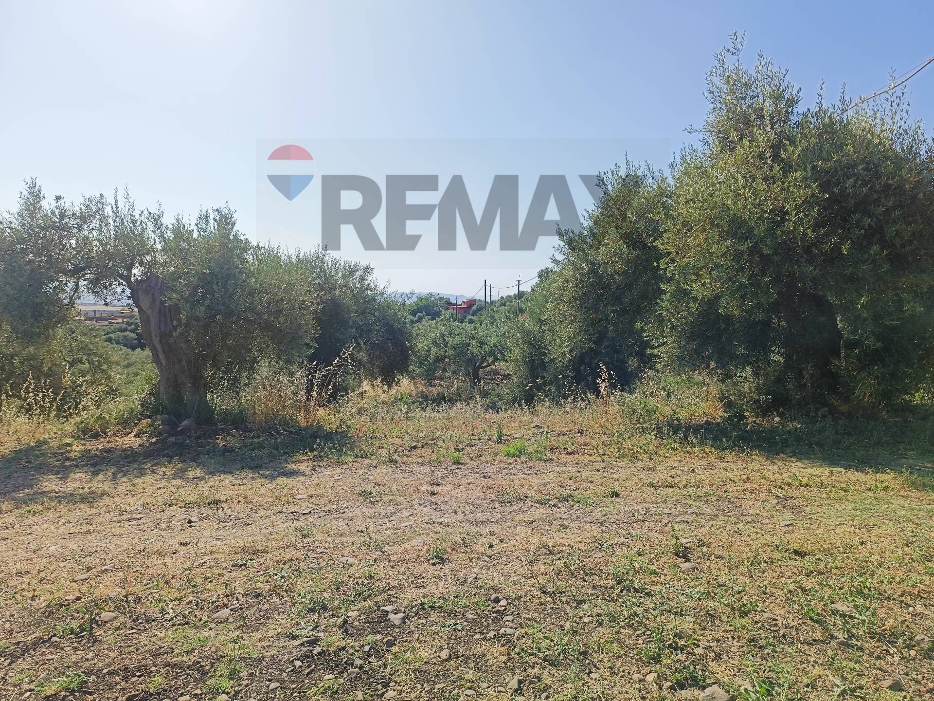 Giardino - Building land Via Siracusa
s.n.c., Motta Sant'Anastasia - photo 3