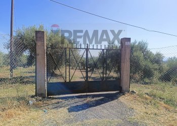 Non correlato - Terreno edificabile Via Siracusa
 
s.n.c., Motta Sant'Anastasia - foto 1
