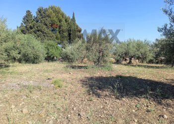 Giardino - Terreno edificabile Via Siracusa
 
s.n.c., Motta Sant'Anastasia - foto 2