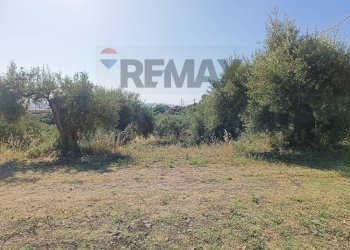 Giardino - Terreno edificabile Via Siracusa
 
s.n.c., Motta Sant'Anastasia - foto 3