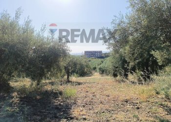 Giardino - Terreno edificabile Via Siracusa
 
s.n.c., Motta Sant'Anastasia - foto 4