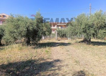Giardino - Terreno edificabile Via Siracusa
 
s.n.c., Motta Sant'Anastasia - foto 6