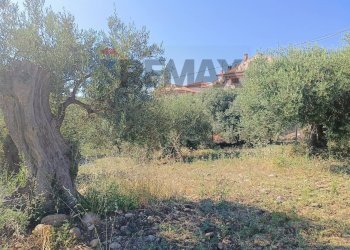 Giardino - Terreno edificabile Via Siracusa
 
s.n.c., Motta Sant'Anastasia - foto 7