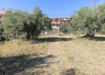 Giardino - Terreno edificabile Via Siracusa
 
s.n.c., Motta Sant'Anastasia - foto 9