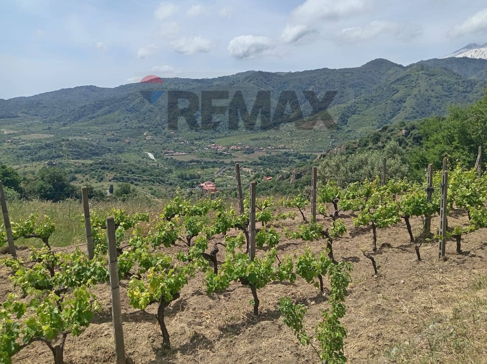 Vista delle montagne - Terreno agricolo POSTOLEONE
 
3, Graniti - foto 3