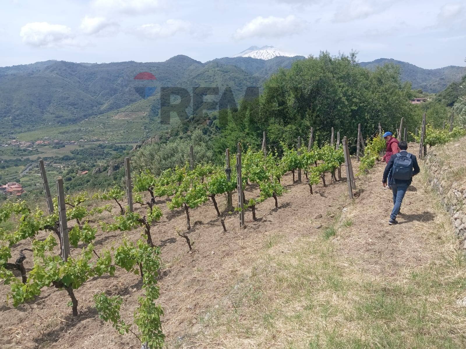 Vista delle montagne - Terreno agricolo POSTOLEONE
 
3, Graniti - foto 3