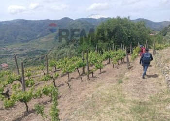 Vista delle montagne - Terreno agricolo POSTOLEONE
3, Graniti - foto 3