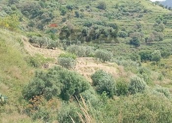 Giardino - Terreno agricolo POSTOLEONE
3, Graniti - foto 4