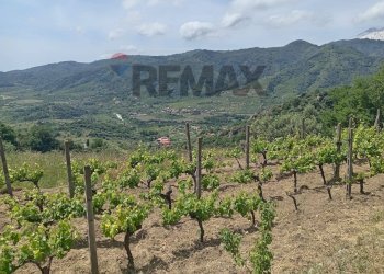 Vista delle montagne - Terreno agricolo POSTOLEONE
3, Graniti - foto 5