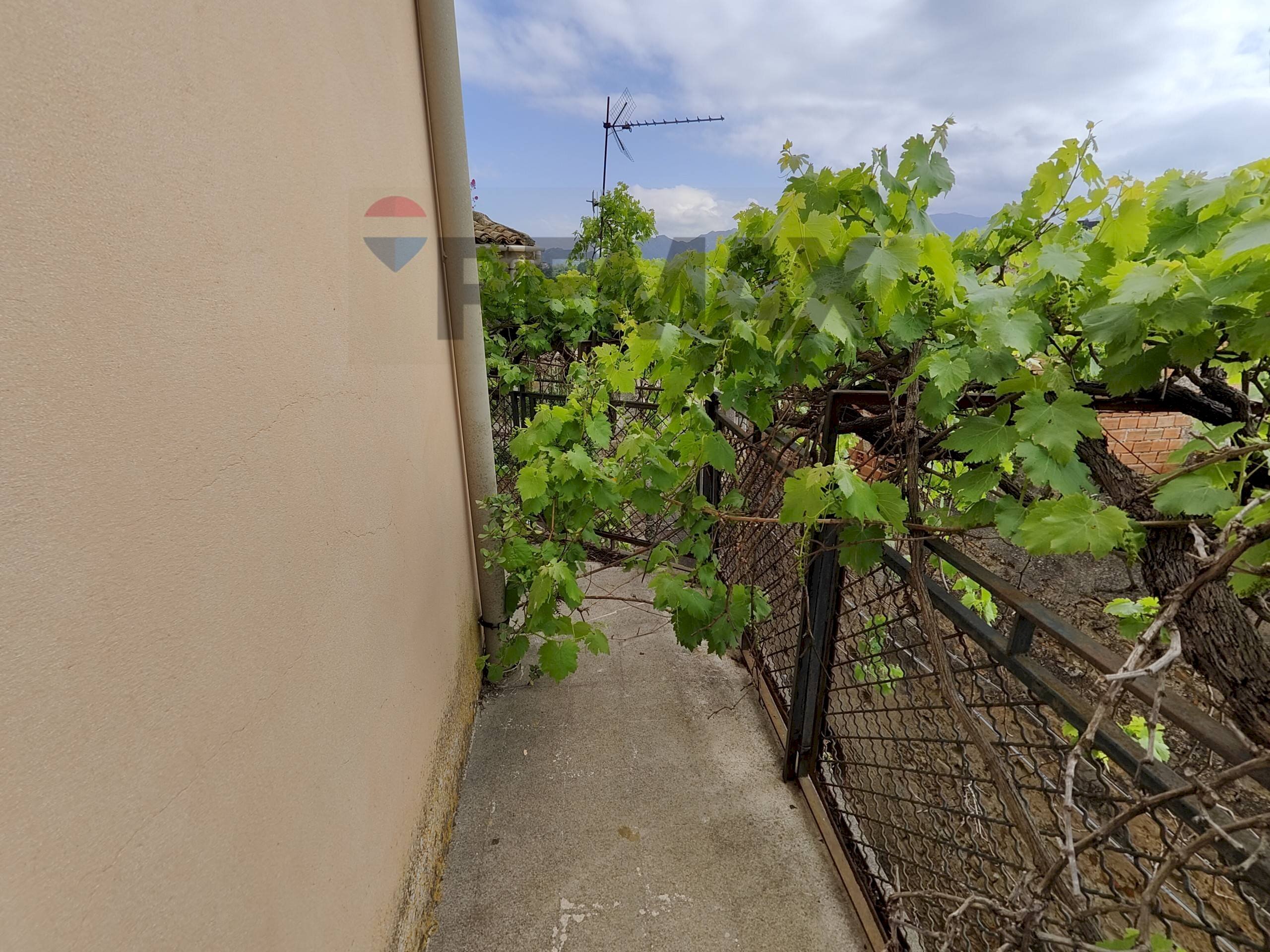 Giardino - Casa indipendente via immacolata
 
9, Monforte San Giorgio - foto 2