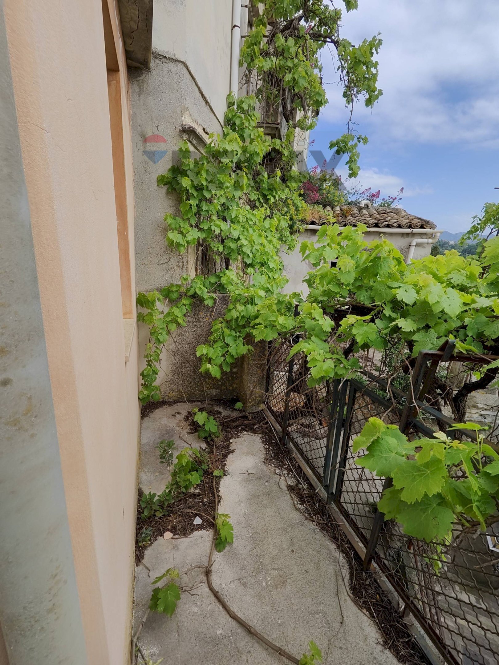 Giardino - Casa indipendente via immacolata
 
9, Monforte San Giorgio - foto 3