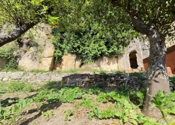 Giardino - Casa indipendente via immacolata
 
34, Monforte San Giorgio - foto 17