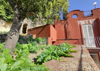 Giardino - Casa indipendente via immacolata
 
34, Monforte San Giorgio - foto 18
