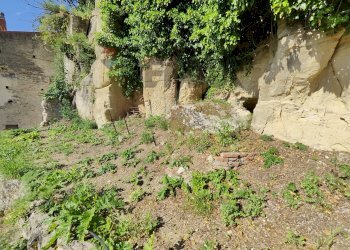Giardino - Casa indipendente via immacolata
 
34, Monforte San Giorgio - foto 35