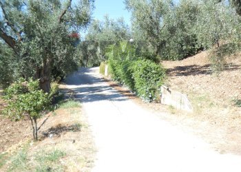 Giardino - Four-room apartment Località Costella
 
snc, Vieste - photo 25