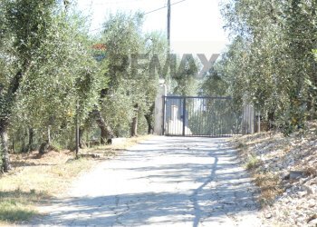 Non correlato - Four-room apartment Località Costella
 
snc, Vieste - photo 26
