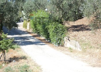 Giardino - Four-room apartment Località Costella
 
snc, Vieste - photo 27