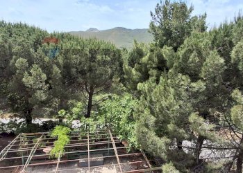 Giardino - Villa VIA SANTA MARIA
 
1, Belmonte Mezzagno - foto 12