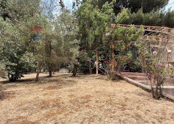 Giardino - Villa VIA SANTA MARIA
 
1, Belmonte Mezzagno - foto 23