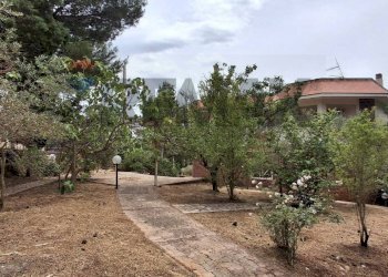 Giardino - Villa VIA SANTA MARIA
 
1, Belmonte Mezzagno - foto 30