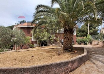 Giardino - Villa VIA SANTA MARIA
 
1, Belmonte Mezzagno - foto 37
