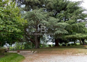 Foto 16 - Villa Strada delle Moglie
 
32, Mondovì - foto 16