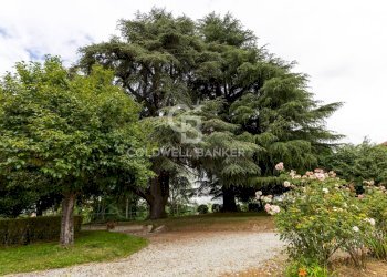 Foto 20 - Villa Strada delle Moglie
 
32, Mondovì - foto 20