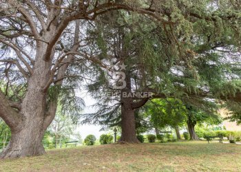 Foto 22 - Villa Strada delle Moglie
 
32, Mondovì - foto 22