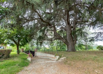 Foto 163 - Villa Strada delle Moglie
 
32, Mondovì - foto 163