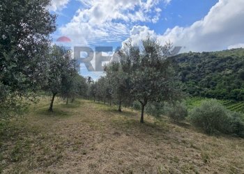 Giardino - Agricultural land via Fontanino
30, Concesio - photo 5