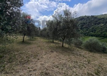 Giardino - Agricultural land via Fontanino
30, Concesio - photo 6