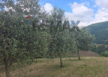 Vista delle montagne - Agricultural land via Fontanino
30, Concesio - photo 8