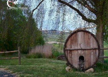 Foto 5 - Agriturismo via degli Allori
 
80, Volterra - foto 5