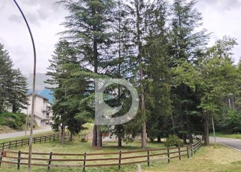Giardino - Casa indipendente Via Berardino de Vincentiis
134/A, Campo di Giove - foto 27