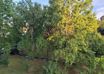 Foto 25 - Apartment via M. L. King
 
15, Terni - photo 25