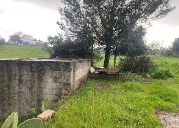 Foto 4 - Terreno agricolo zona paretone
snc, Martina Franca - foto 4