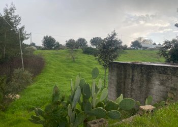 Foto 5 - Terreno agricolo zona paretone
snc, Martina Franca - foto 5