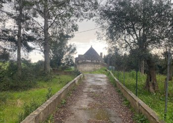 Foto 6 - Terreno agricolo zona paretone
snc, Martina Franca - foto 6
