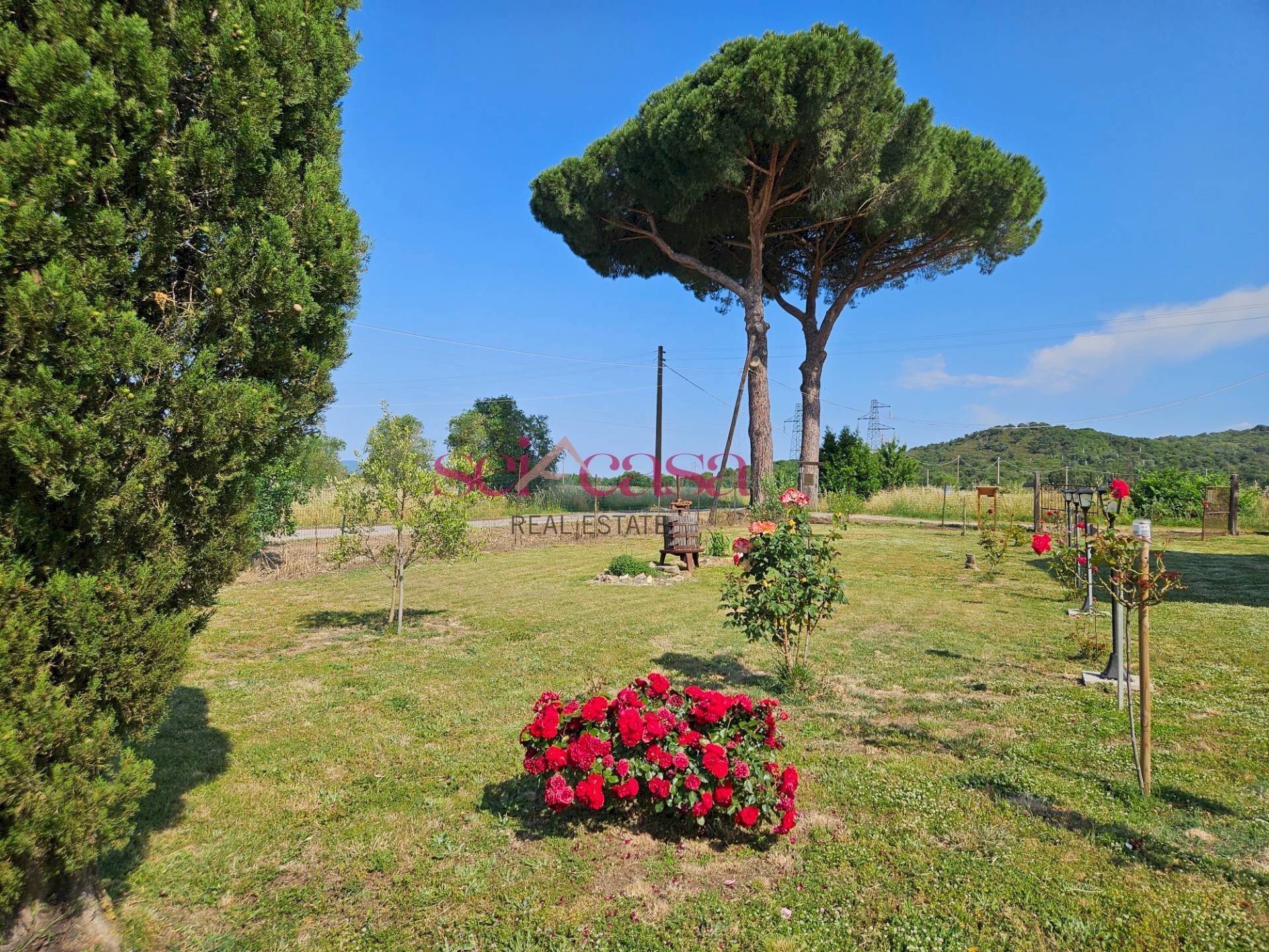Foto 3 - Rustico Grosseto - foto 3