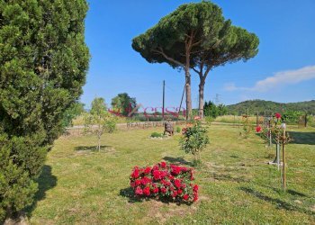 Foto 3 - Rustico Grosseto - foto 3