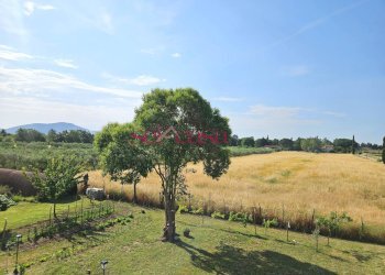 Foto 18 - Rustico Grosseto - foto 18