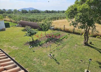 Foto 19 - Rustico Grosseto - foto 19