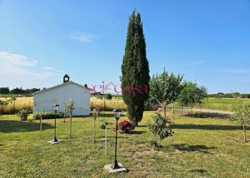 Foto 25 - Rustico Grosseto - foto 25
