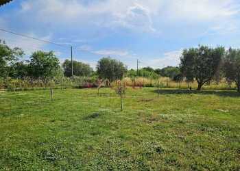 Foto 28 - Rustico Grosseto - foto 28